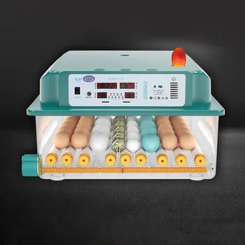 16 Kiaušinių inkubatorius Automatinis drėgmės temperatūros reguliavimo perykla putpelių ančių žąsų ūkiui