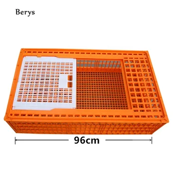 96x55x27cm plastikinė vištienos dėžė apelsinų narvų gyvų viščiukų dėžė parduodama skerdyklos naminių paukščių dėžė