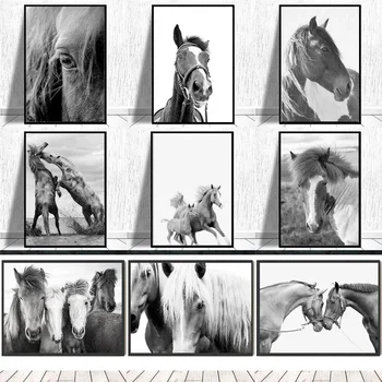 Abstraktūs juodai balto arklio drobės paveikslai Šiuolaikiniai minimalistiniai gyvūnų atspaudai ir plakatai Sienų meno paveikslėliai svetainės dekorui