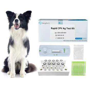 MongGoQ šunų parvo diagnostikos naminių gyvūnėlių priedai šuniui, CPV-10