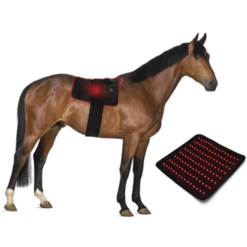 Naminių gyvūnėlių fizinės terapijos diržas Arklių priežiūra šalia infraraudonųjų spindulių kanopų skausmo malšinimo Lanksti raudonos šviesos terapija Arklio padas arkliui