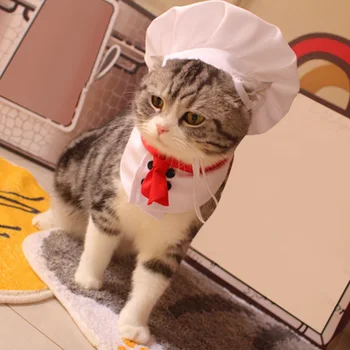 Pet Chef kostiumas Mielas stilingas dydis Reguliuojamas plaunamas naminių gyvūnėlių drabužis kačių šunų skrybėlę ir kepurę